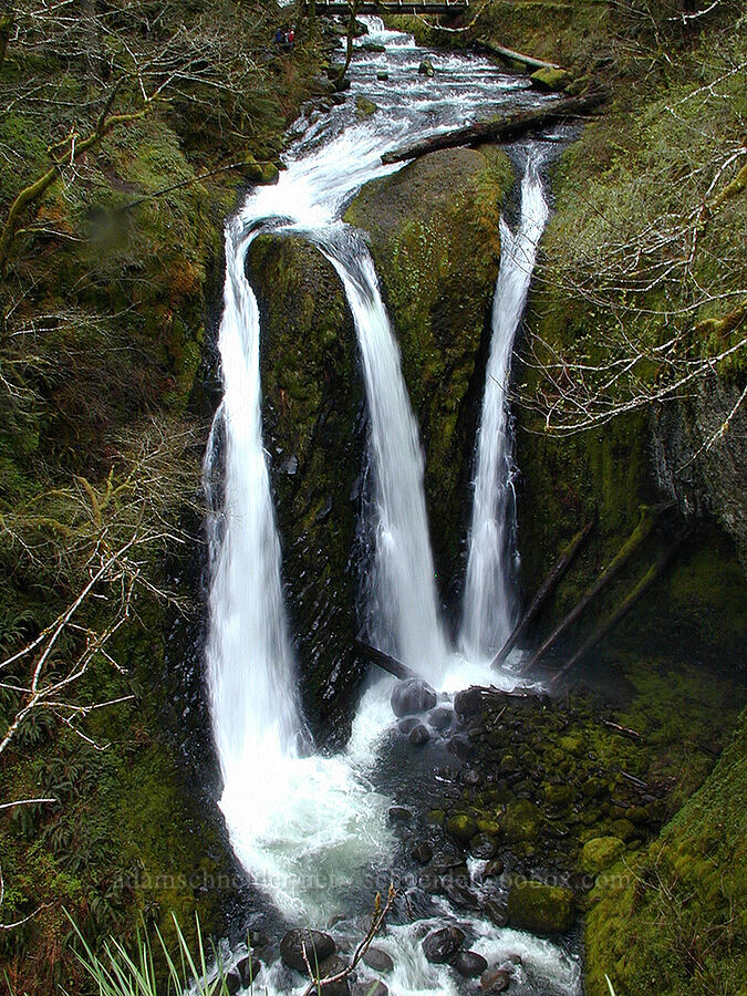 Triple Falls [Oneonta Gorge, Multnomah County, Oregon]