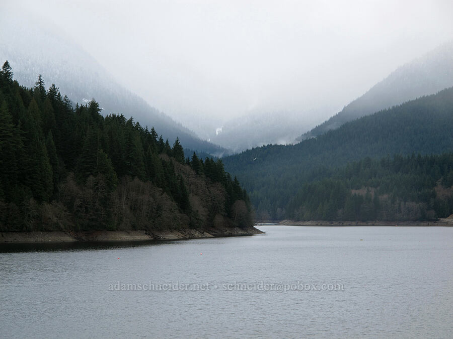Capilano Lake [Capilano River Regional Park, West Vancouver, British Columbia, Canada]