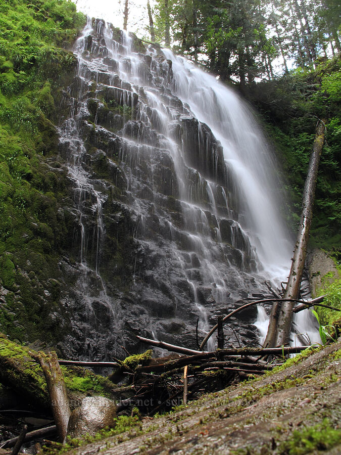 University Falls [Gravelle Brothers Trail, Tillamook State Forest, Tillamook County, Oregon]