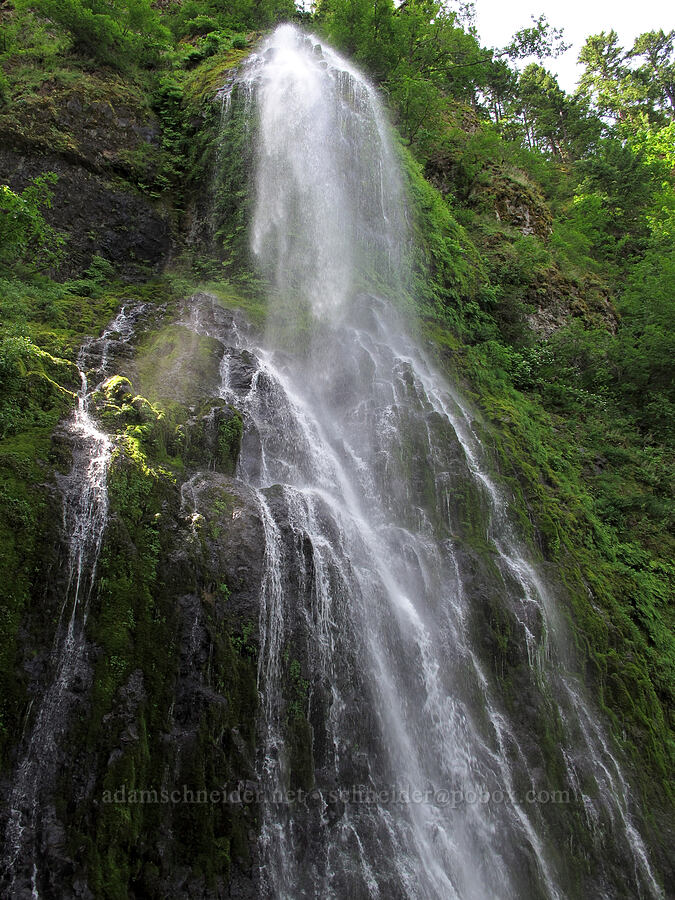 Upper Lancaster Falls [Mt. Defiance Trail, Columbia River Gorge, Hood River County, Oregon]