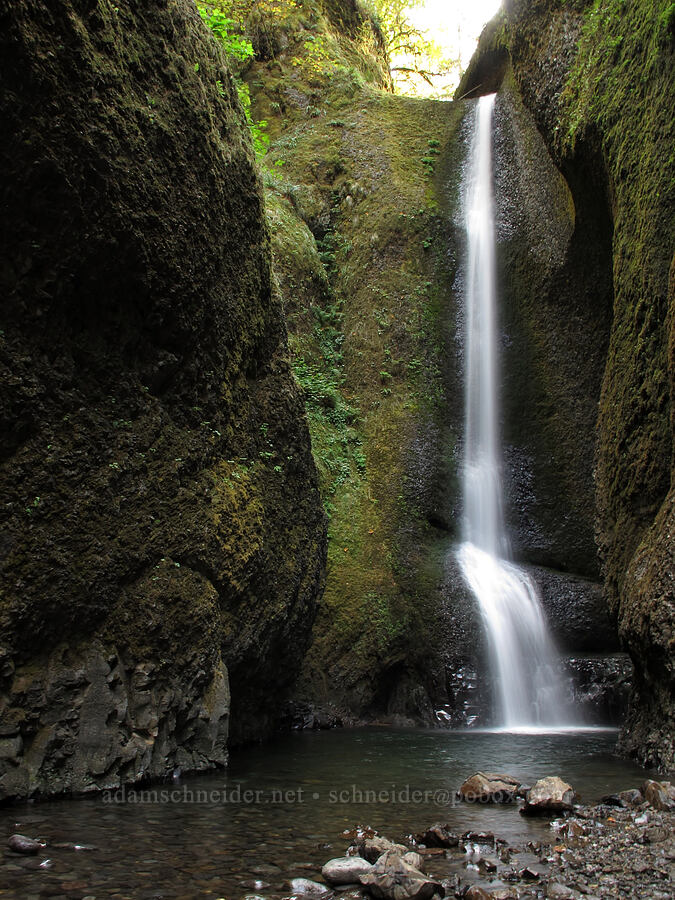 Oneonta Falls [Oneonta Canyon, Columbia River Gorge, Multnomah County, Oregon]