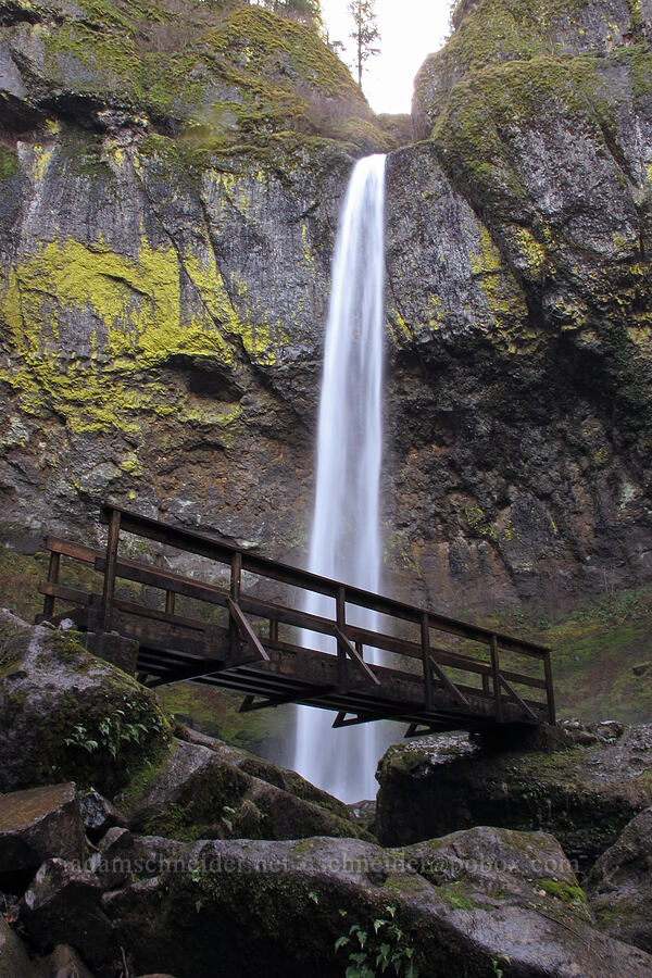 Elowah Falls & bridge [Elowah Falls Trail, Columbia River Gorge, Multnomah County, Oregon]