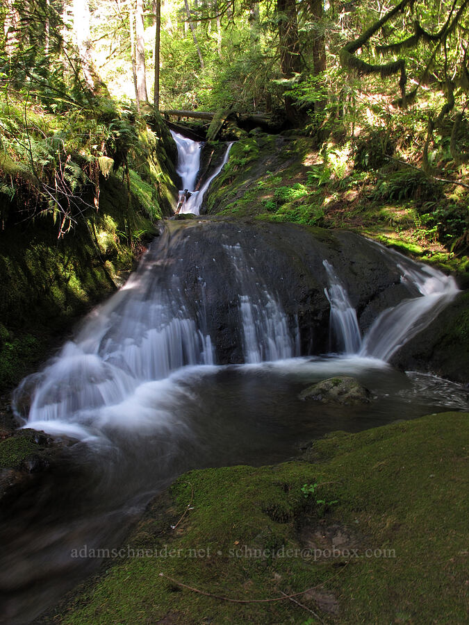 Duncan Creek Falls (south side) [Nellie Corser Wildlife Area, Skamania County, Washington]