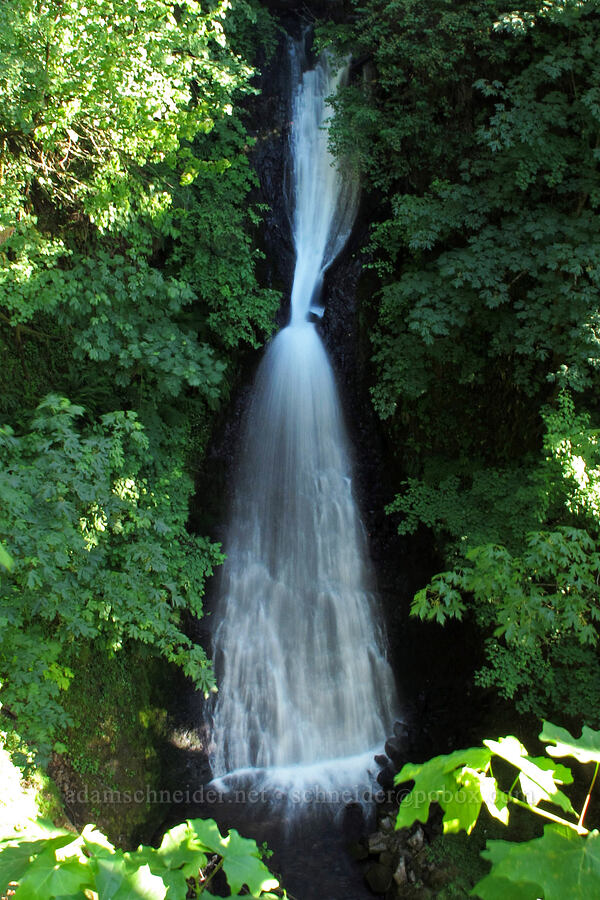 Shepperd's Dell Falls [Shepperd's Dell State Park, Columbia River Gorge, Multnomah County, Oregon]