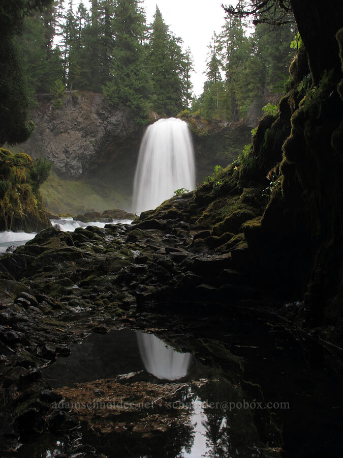 Sahalie Falls [McKenzie River, Willamette National Forest, Linn County, Oregon]