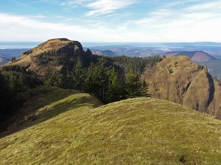 Saddle Mountain from the east summit [east side of Saddle Mountain, Saddle Mountain State Natural Area, Clatsop County, Oregon]