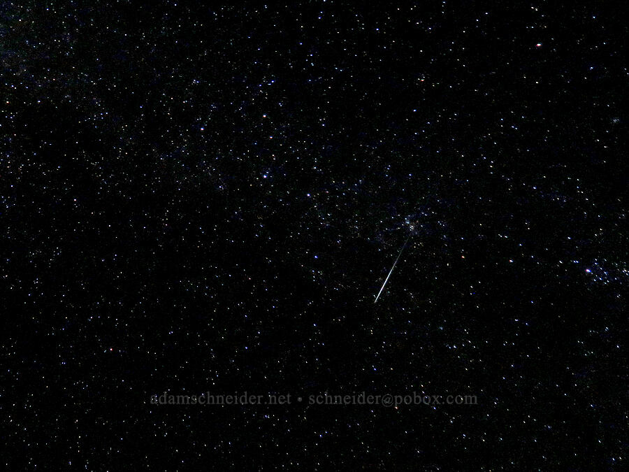Perseid meteor shower [Yacolt Burn State Forest, Clark County, Washington]