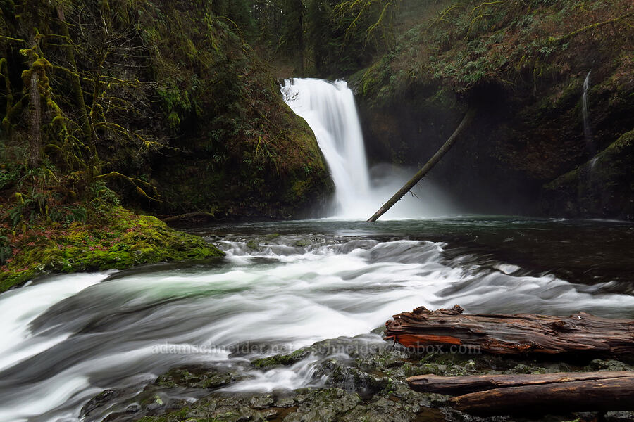 Butte Creek Falls [Butte Creek Falls Trail, Santiam State Forest, Marion County, Oregon]