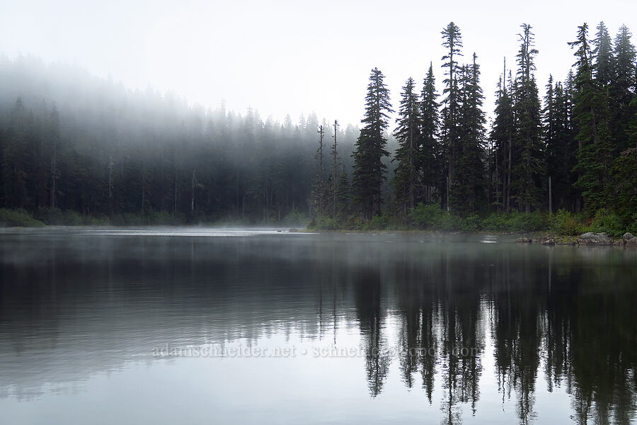 Thomas Lake & mist [Thomas Lake Trail, Indian Heaven Wilderness, Skamania County, Washington]