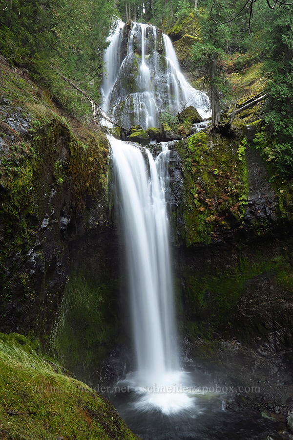 Falls Creek Falls [Falls Creek Falls Trail, Gifford Pinchot National Forest, Skamania County, Washington]
