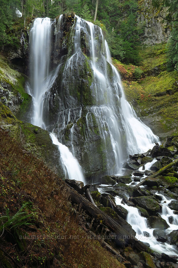 Falls Creek Falls (middle tier) [Falls Creek Falls Trail, Gifford Pinchot National Forest, Skamania County, Washington]