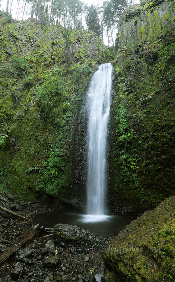 Gorton Creek Falls (vertical panorama) [Gorton Creek Falls Trail, Columbia River Gorge, Hood River County, Oregon]