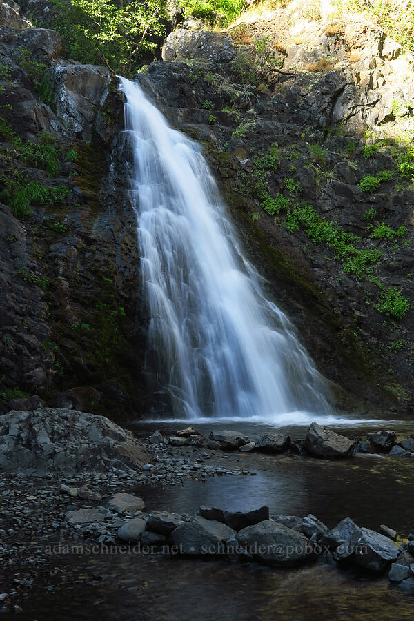 Dog Creek Falls [Dog Creek, Gifford Pinchot National Forest, Skamania County, Washington]