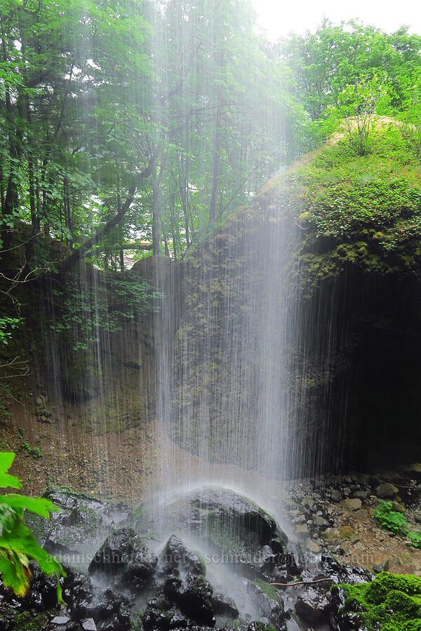 falling water [Cabin Creek Falls, Starvation Creek State Park, Hood River County, Oregon]