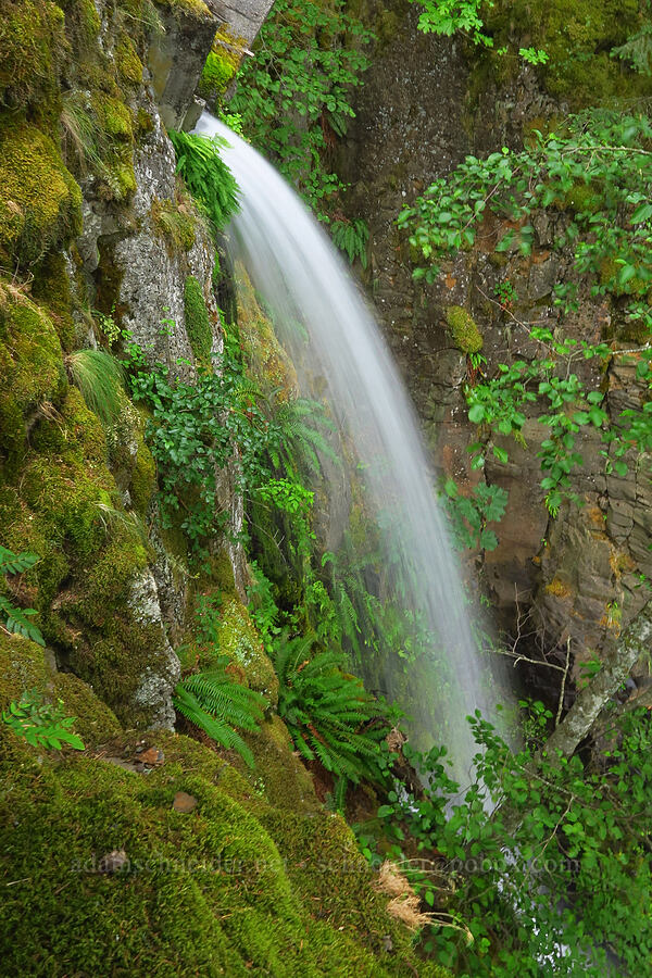 top of Hole-In-The-Wall Falls [Mt. Defiance Trail, Starvation Creek State Park, Hood River County, Oregon]
